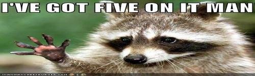 ive-got-five-on-it-man_500x150.jpg